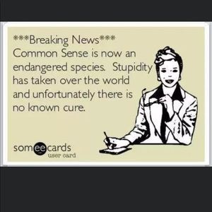 Meet your Posher, Dorothy